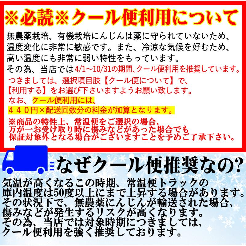 オーガニック 8%還元！にんじん 無農薬人参 10kg×2回 訳あり【定期購入