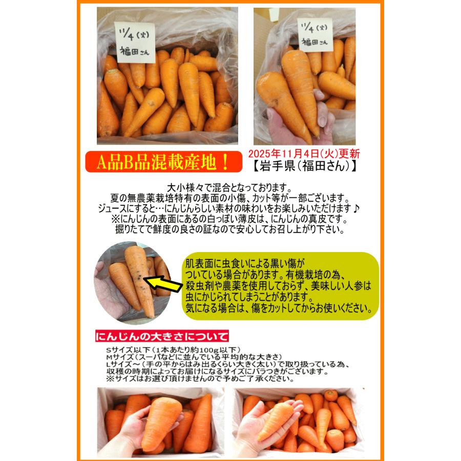 オーガニック セール&ポイント2倍☆にんじん 無農薬人参 10kg×4回 訳