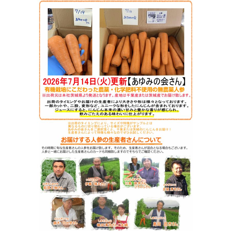 オーガニック 8%還元！にんじん 無農薬人参 10kg×4回 訳あり【定期購入