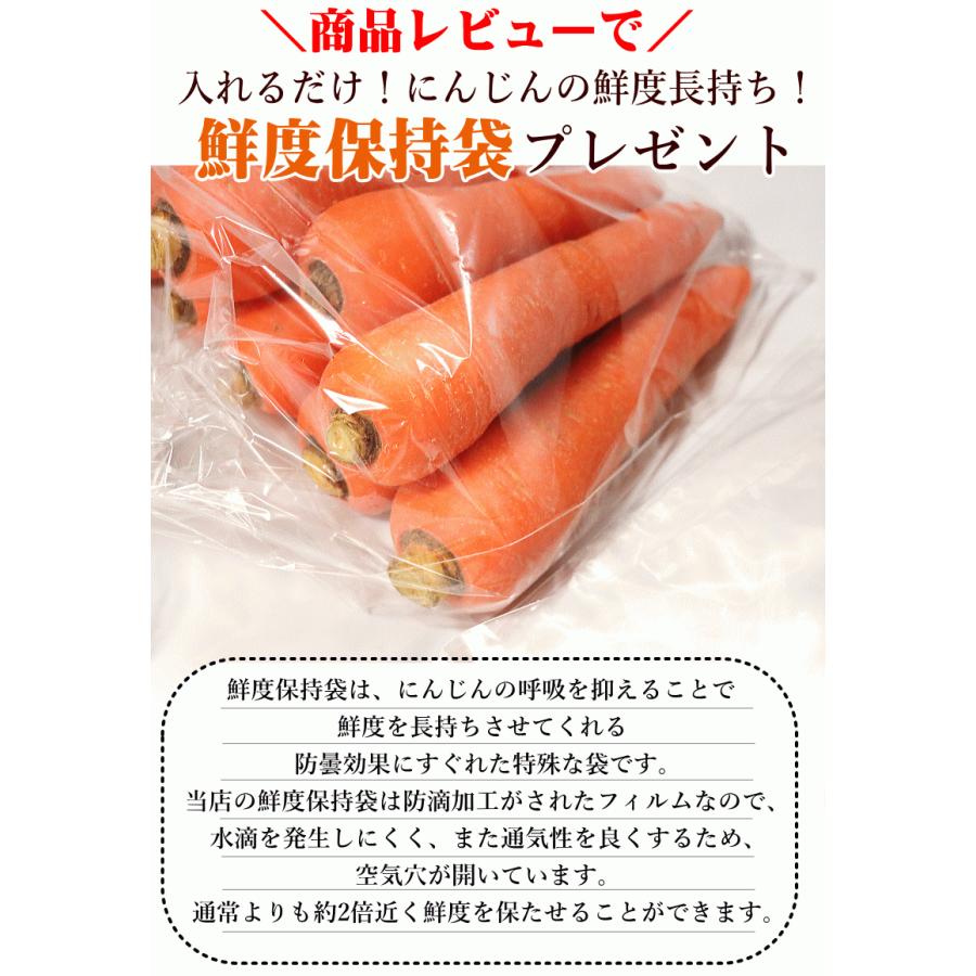 無農薬人参 ジュース用に最適 定期購入 産地が選べる無農薬にんじんＢ品10キロ×4回 計40キロ 訳あり クール便対応｜world-wand｜17