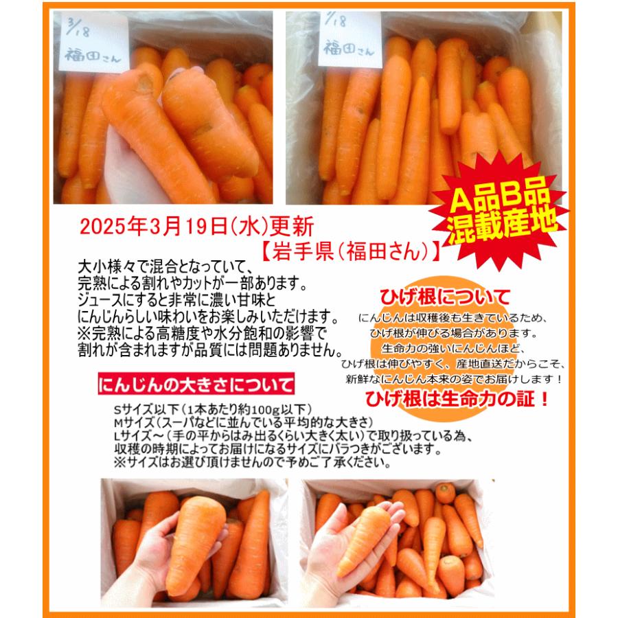 オーガニック 単品よりお得 にんじん 無農薬人参 10kg×4回 訳 オーガニック 単品よりお得 にんじん 無農薬人参 10kg×4回 訳