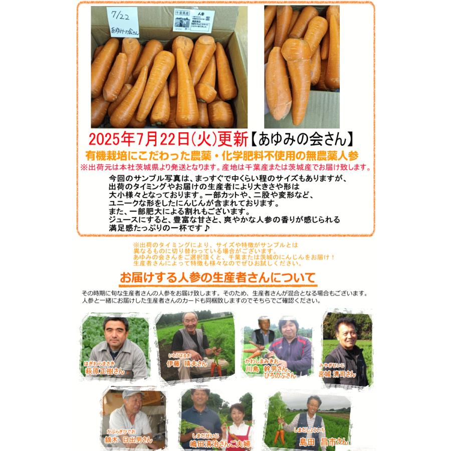 めっちゃ安い　人参　にんじん　10kg  10 ninjin_m01.jpg?fitin=720:720