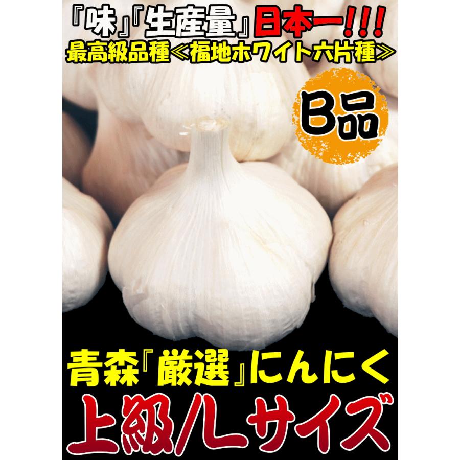 にんにく 青森 1kg Lサイズ厳選 B品 5kg以上送料無料 国産 ニンニク 1