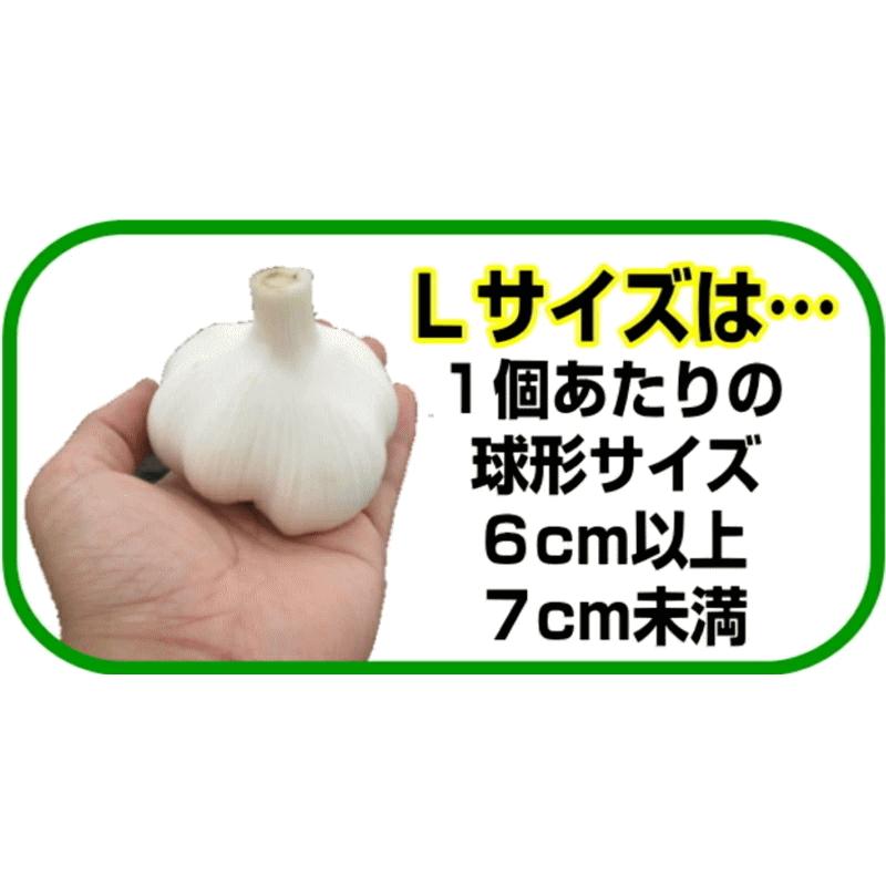 にんにく 青森 1kg Lサイズ厳選 B品 5kg以上送料無料 国産 ニンニク 1