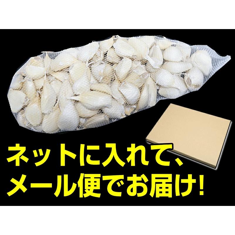 にんにく 青森産 福地ホワイト六片種 バラ 500ｇ 送料無料 訳あり 青森にんにく お料理に 大小混合 ブランド品種 b01｜world-wand｜17