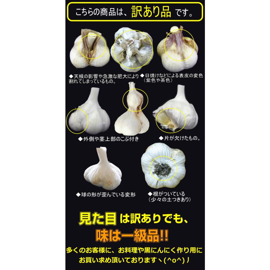 にんにく 青森 1kg 送料無料 Mサイズ以上大玉混合 訳あり C品/並 にんにく 青森 1kg 送料無料 Mサイズ以上大玉混合 訳あり C品/並