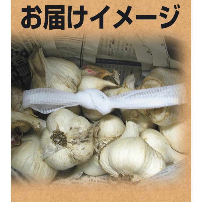 にんにく 1kg 青森 Lサイズ 訳あり C品/並級 国産 ニンニク 中国産と比べて 5kg以上送料無料 :1230-l:青森期待の新人商店 - 通販 - Yahoo!ショッピング にんにく 1kg 青森 Lサイズ 訳あり C品/並級 国産 ニンニク 中国産と比べて 5kg以上送料無料 :1230-l:青森期待の新人商店 - 通販 - Yahoo!ショッピング