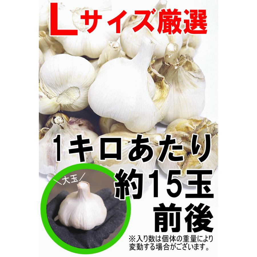 にんにく 青森 1kg 訳あり Lサイズ厳選 C品/並級 5kg以上送料無料 国産