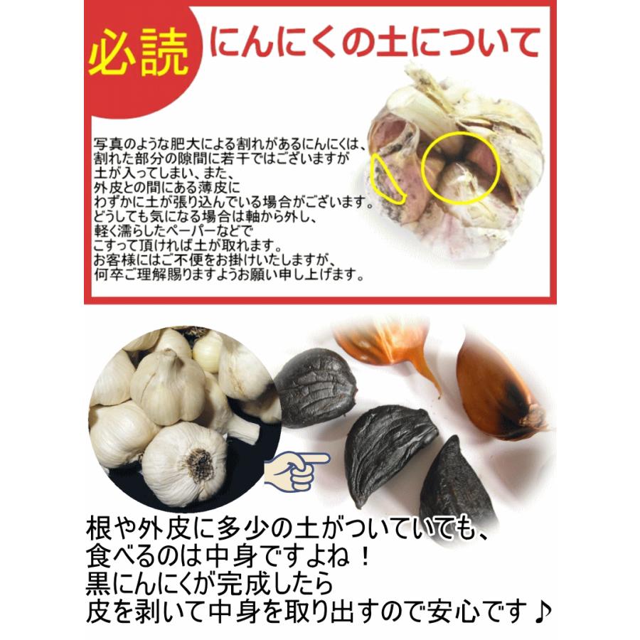 訳あり青森県産にんにくL10kg 新物☆にんにく 青森 1kg 訳あり Mサイズ以上大玉混合 C品/並級