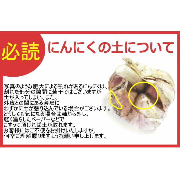 訳あり青森県産にんにくL10kg にんにく 青森 1kg 訳あり Mサイズ以上大玉混合 C品/並級 国産