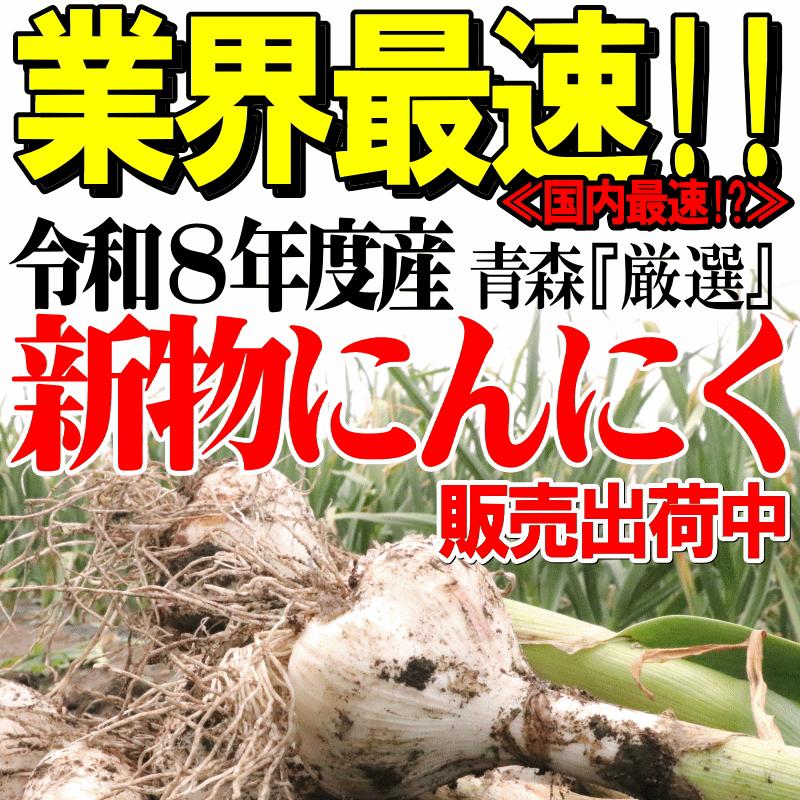新物！にんにく 青森 1kg Mサイズ厳選 A品 5kg以上送料無料 国産