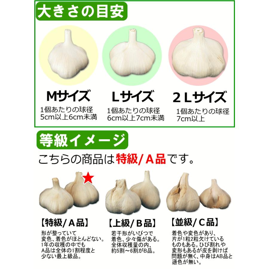 青森県産にんにく　Ｓ　２０ｋｇ　早い者勝ち 青森県産にんにく2㎏（令和7年産）2Lサイズ・約1kg×2: JA全農