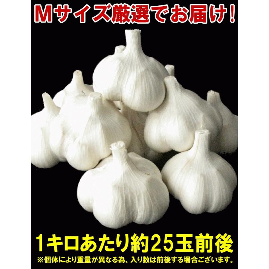 にんにく 青森 特級 A品 Mサイズ 1kg 国産 ニンニク ａ品1キロ 中国産と比べて 1230jm 青森期待の新人商店 通販 Yahoo ショッピング