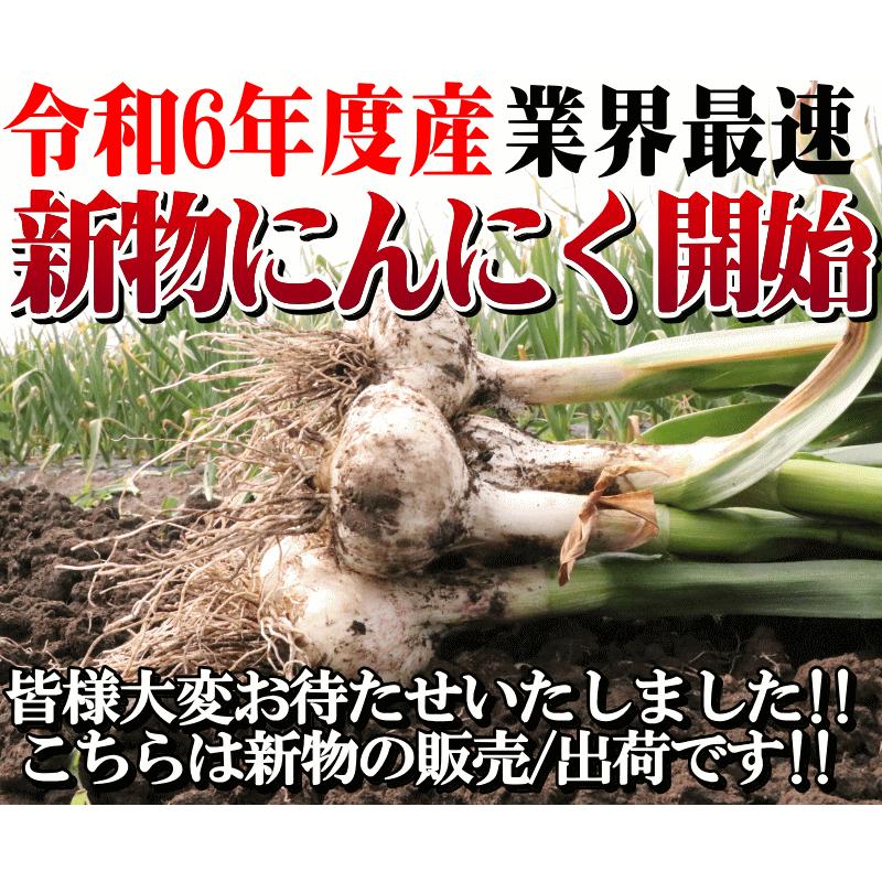 新物青森県バラにんにく10Kg S訳あり