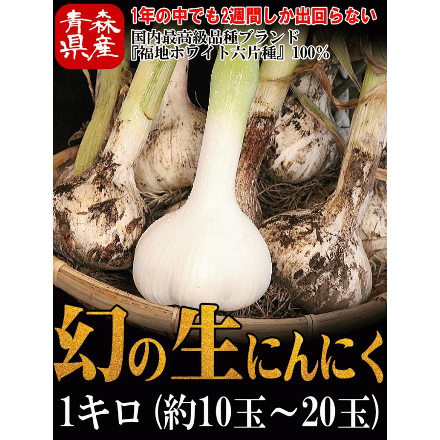 【予約】 生にんにく 青森 1kg 新物 幻の生にんにく！国産最高級ブランドにんにく Mサイズ以上大玉混合｜world-wand｜02