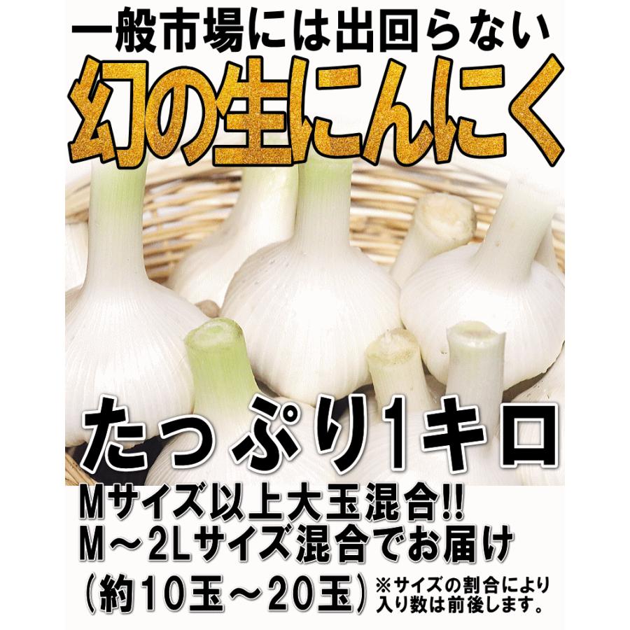 即日発送】にんにく 青森 1kg 幻の生にんにく Mサイズ以上大玉混合 約