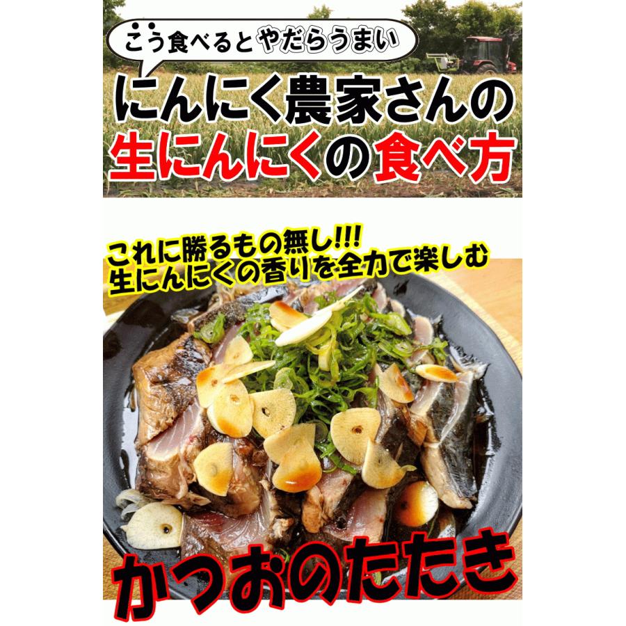 【予約】 生にんにく 青森 1kg 新物 幻の生にんにく！国産最高級ブランドにんにく Mサイズ以上大玉混合｜world-wand｜11