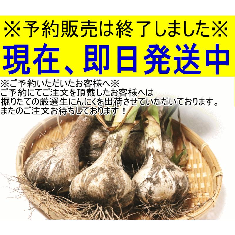 生にんにく 青森 1kg にんにく 国産 新物 幻の生にんにく 国産最高級