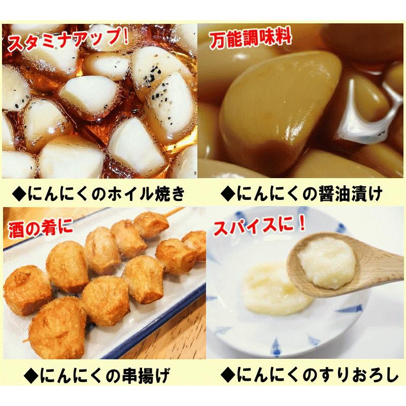 クーポンで10%引き【新物】にんにく 青森 1kg Lサイズ厳選 B品 根あり
