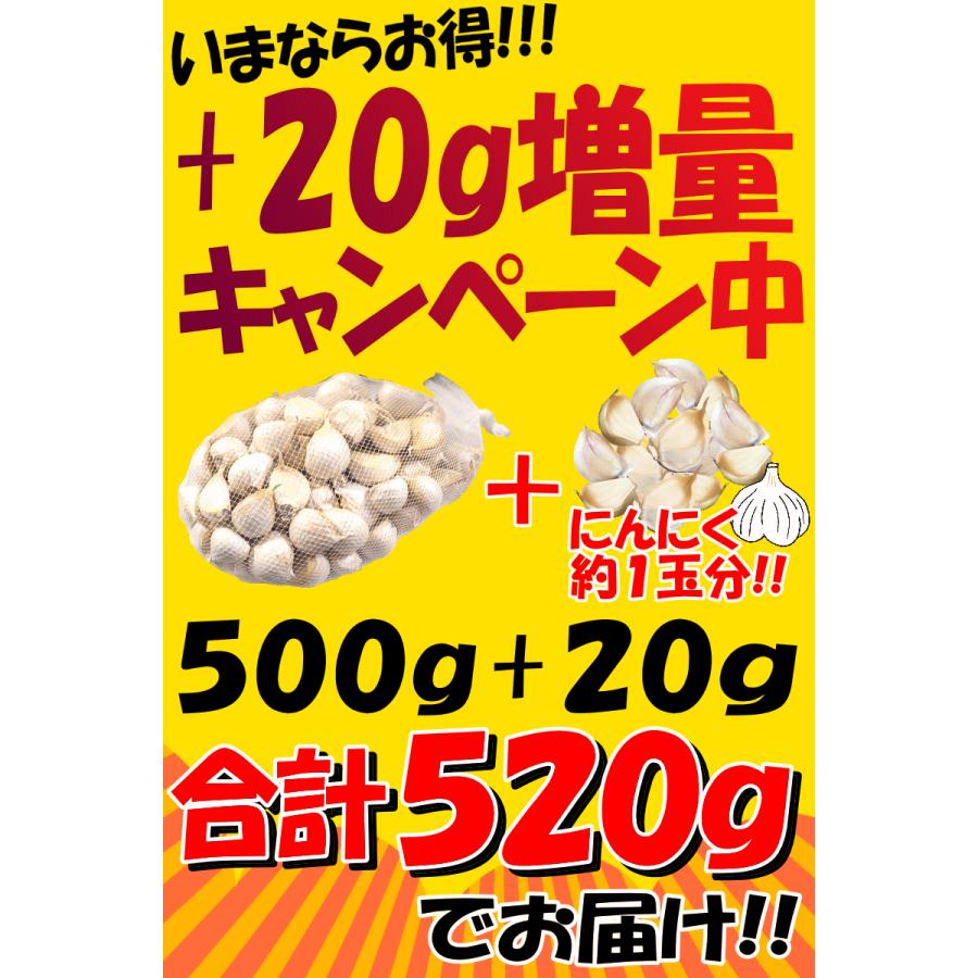 にんにく 青森 500g+20g増量中!計520g バラ 皮剥け無し 正品 にんにく 青森 500g+20g増量中!計520g バラ 皮剥け無し 正品