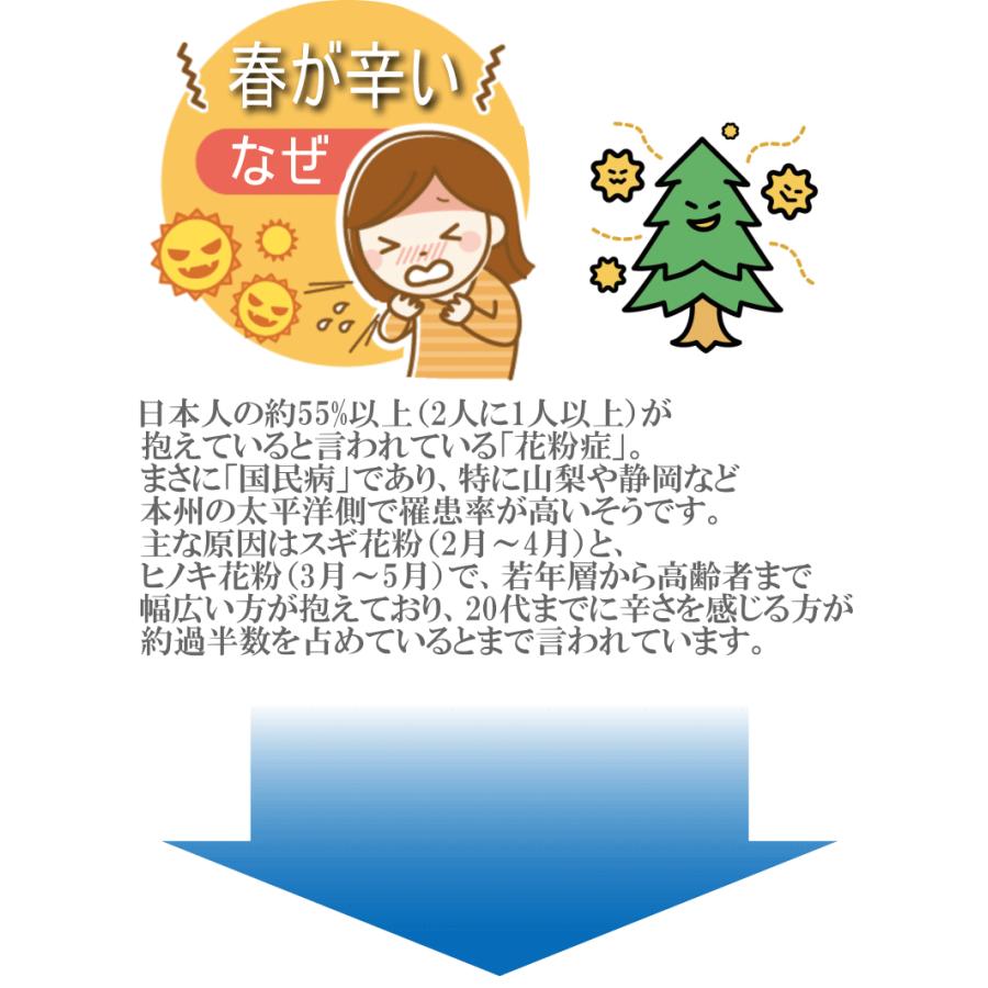 しそジュース 赤紫蘇 無農薬栽培 1本 1リットル シソジュース 紫蘇