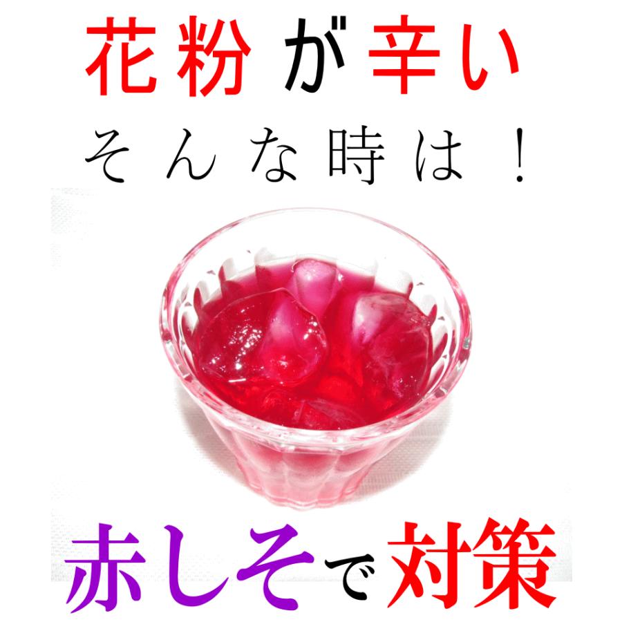 しそジュース 赤紫蘇 無農薬栽培 お得な6本セット シソジュース 紫蘇