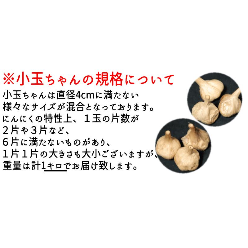 黒にんにく 黒宝 黒ボトル 1kg 送料無料 国産 青森 黒ニンニク 小玉 1キロ 黒宝1キロ 黒ニンニク 青森 にんにく 青森期待の新人商店 通販 Yahoo ショッピング