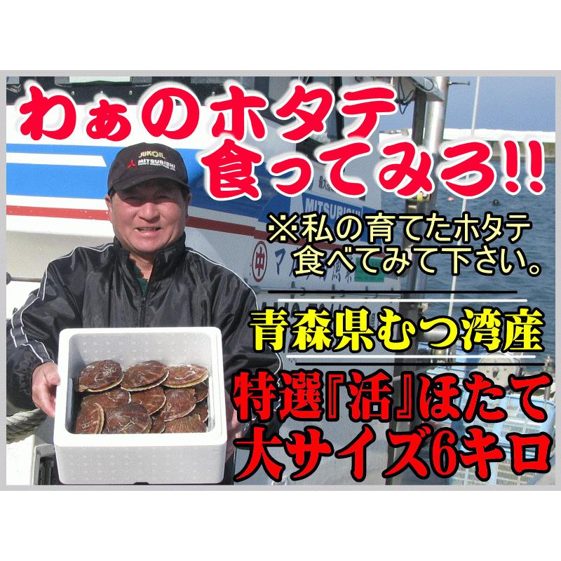 禁輸に負けない!! 青森 ホタテ 殻付き 活ほたて 大サイズ6キロ 送料無料 青森 陸奥 貝柱が美味 ほたて 6kg（約30枚-48枚）お取り寄せ 海産｜world-wand｜02