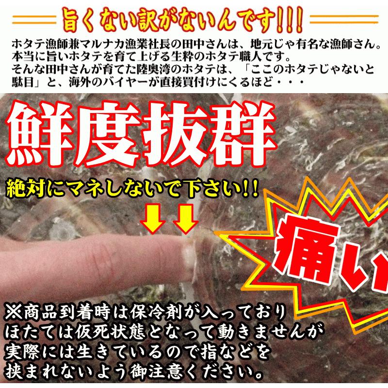 禁輸に負けない!! 青森 ホタテ 殻付き 活ほたて 大サイズ6キロ 送料無料 青森 陸奥 貝柱が美味 ほたて 6kg（約30枚-48枚）お取り寄せ 海産｜world-wand｜07