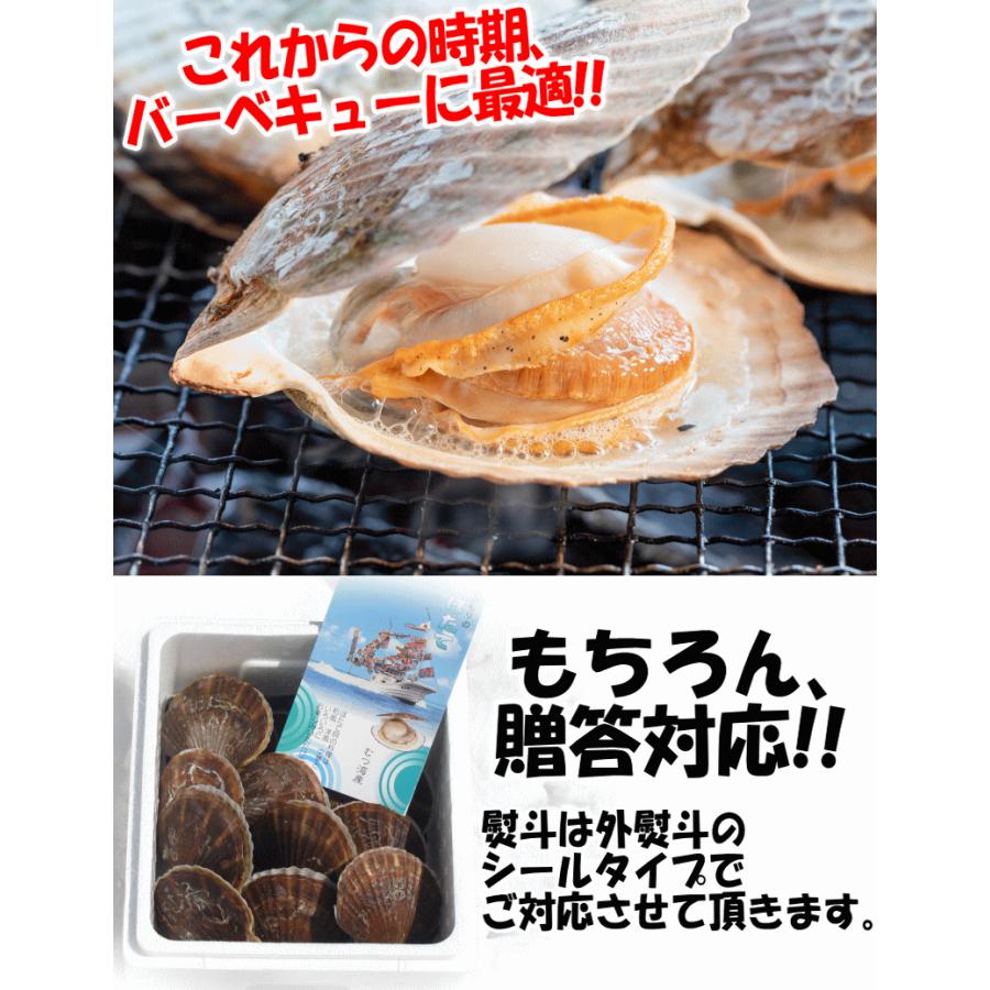 クーポン10%引き 青森 ホタテ 刺身 殻付き 2kg 活ほたて 大 クーポン10%引き 青森 ホタテ 刺身 殻付き 2kg 活ほたて 大