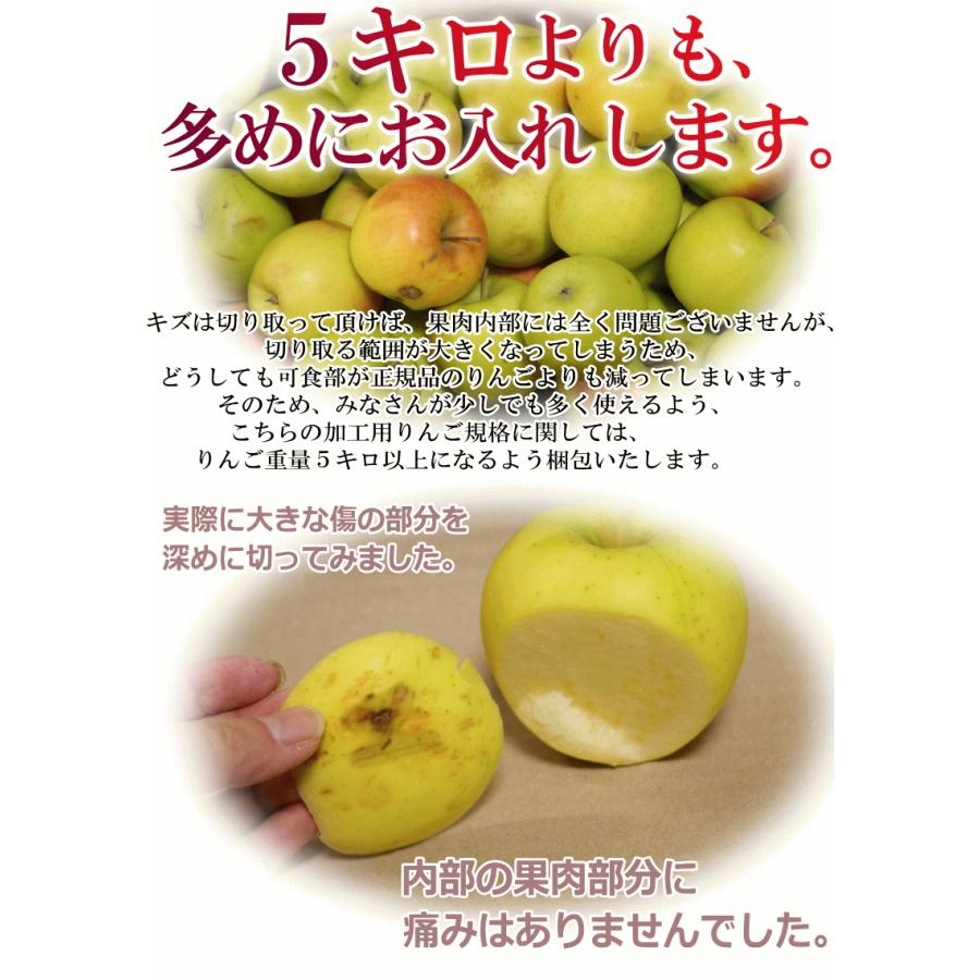 即日発送 青森 りんご 5kg箱 訳あり/加工用 選べる品種 送料無料