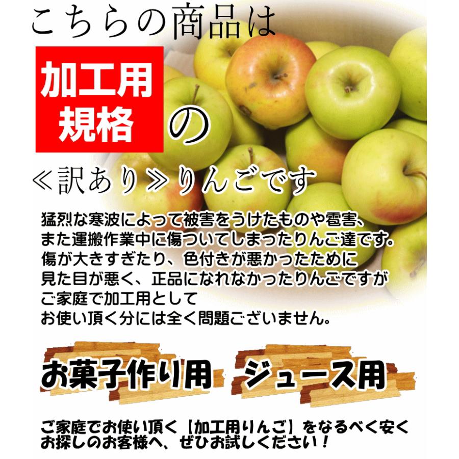 即日発送 青森 りんご 5kg箱 訳あり/加工用 選べる品種 送料無料