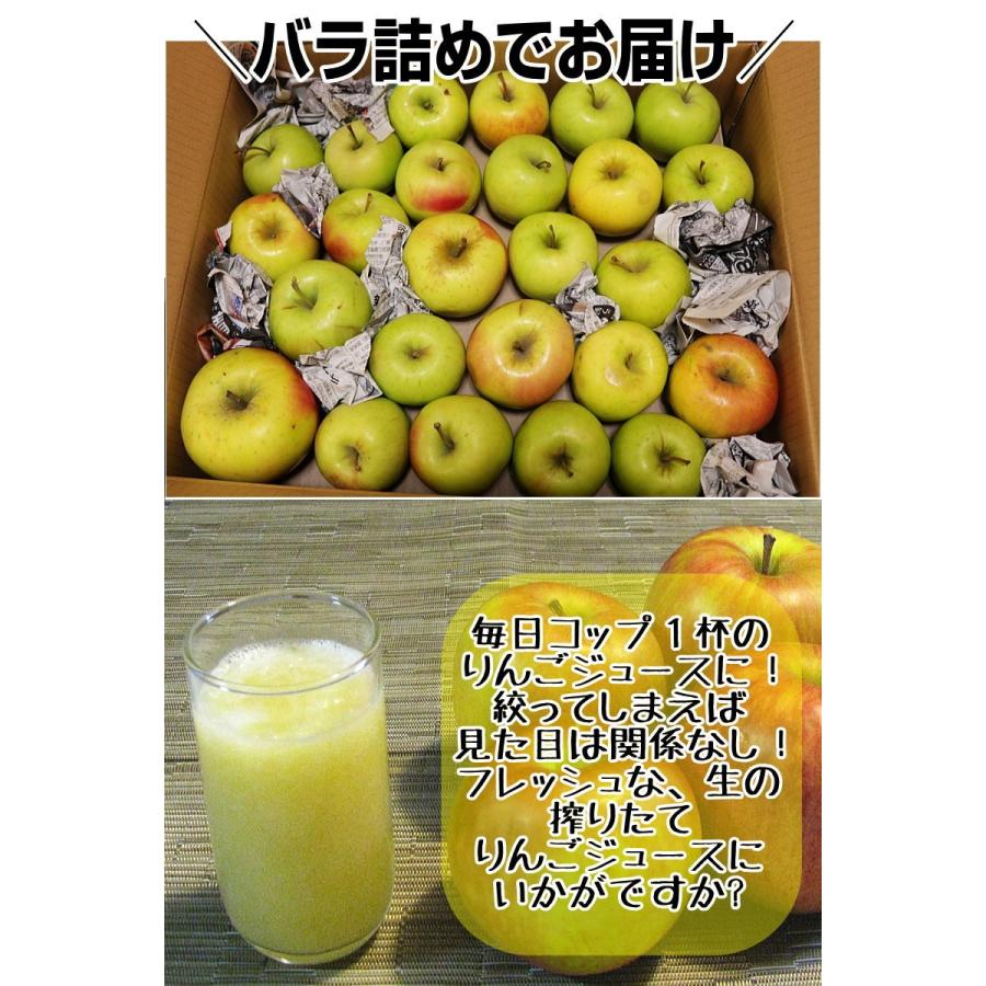 即日発送 青森 りんご 5kg箱 訳あり/加工用 選べる品種 送料無料