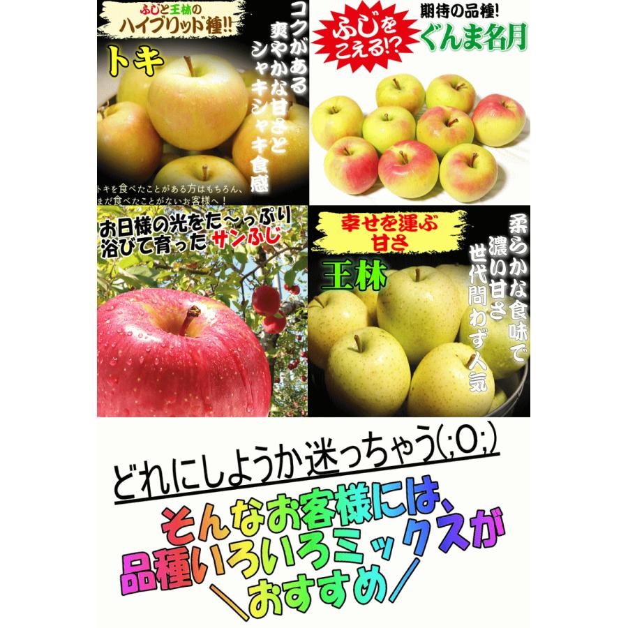 青森県産りんご【ミックス】735家庭用15kgみっきー② 即日発送 青森 りんご 5kg箱 訳あり/加工用 選べる品種 送料無料