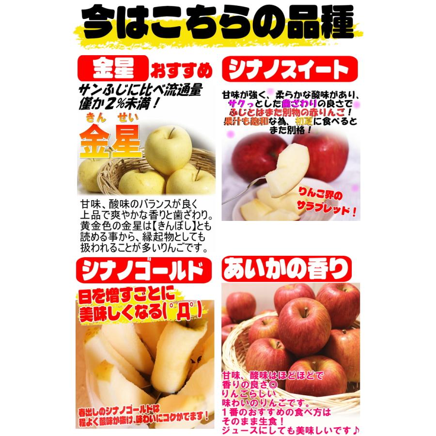 即日発送 青森 りんご 10kg箱 訳あり/加工用 選べる品種 送料無料