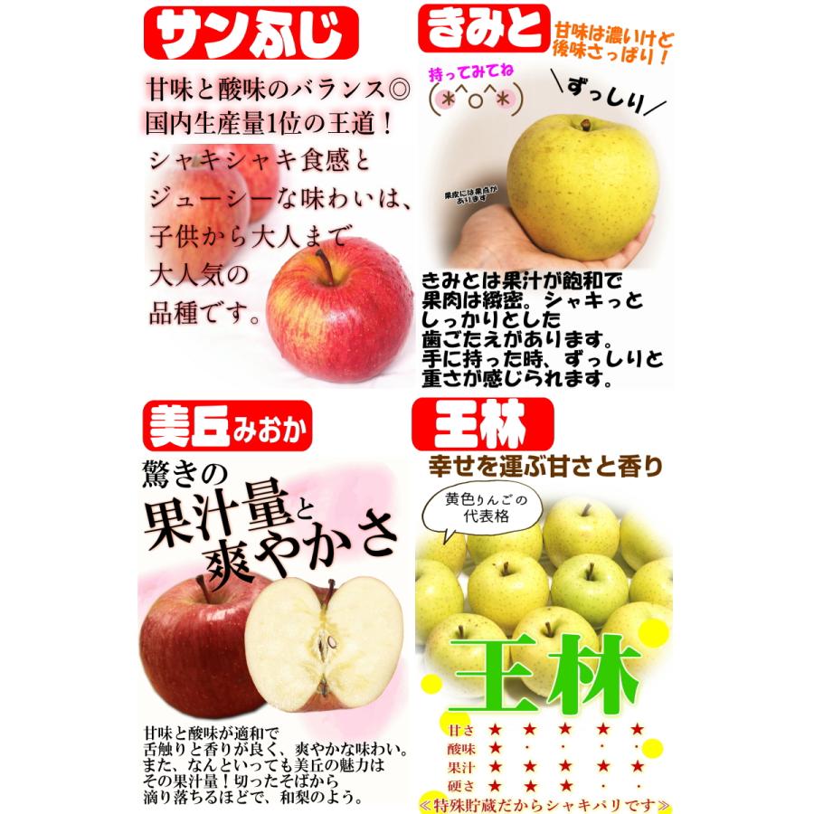 即日発送 青森 りんご 10kg箱 訳あり/加工用 選べる品種 送料無料