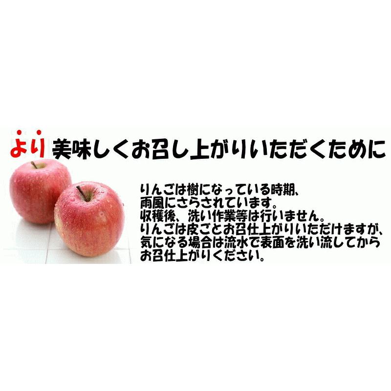 あすつく 青森 りんご 10kg箱 訳あり/加工用 選べる品種 送料無料 あすつく リンゴ 10キロ箱★品種選べる 加 10kg箱｜world-wand｜18