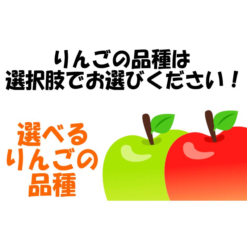 即日発送 青森 りんご 10kg箱 訳あり/加工用 選べる品種 送料無料