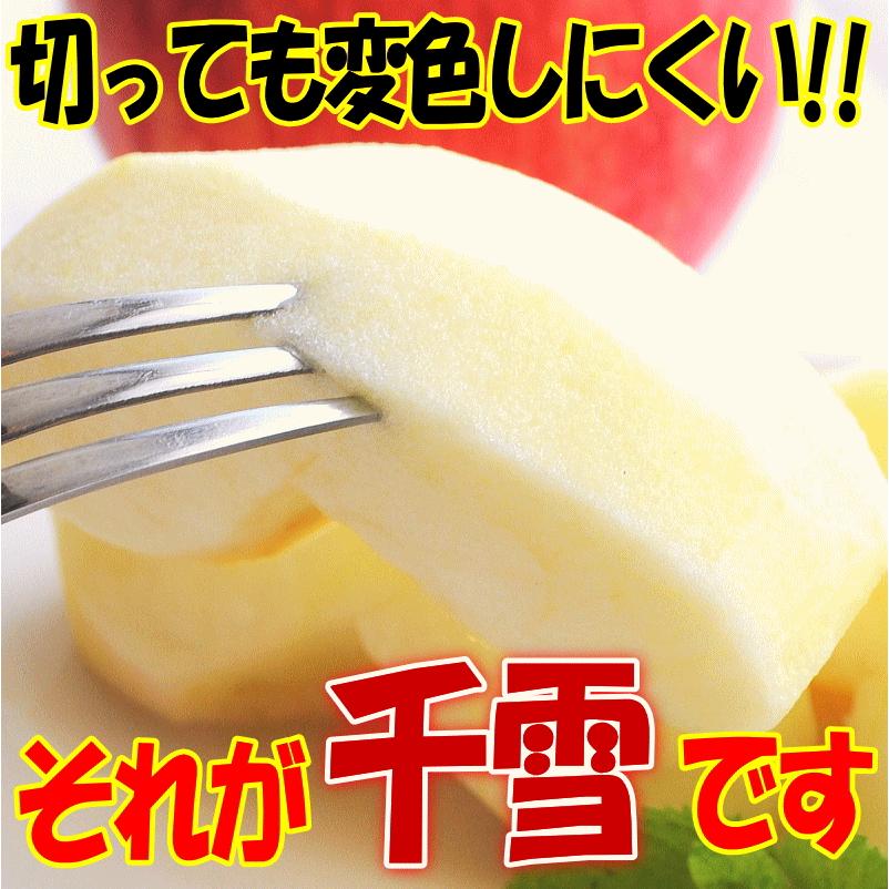 あすつく 青森 りんご 10kg箱 訳あり/加工用 選べる品種 送料無料 あすつく リンゴ 10キロ箱★品種選べる 加 10kg箱｜world-wand｜09