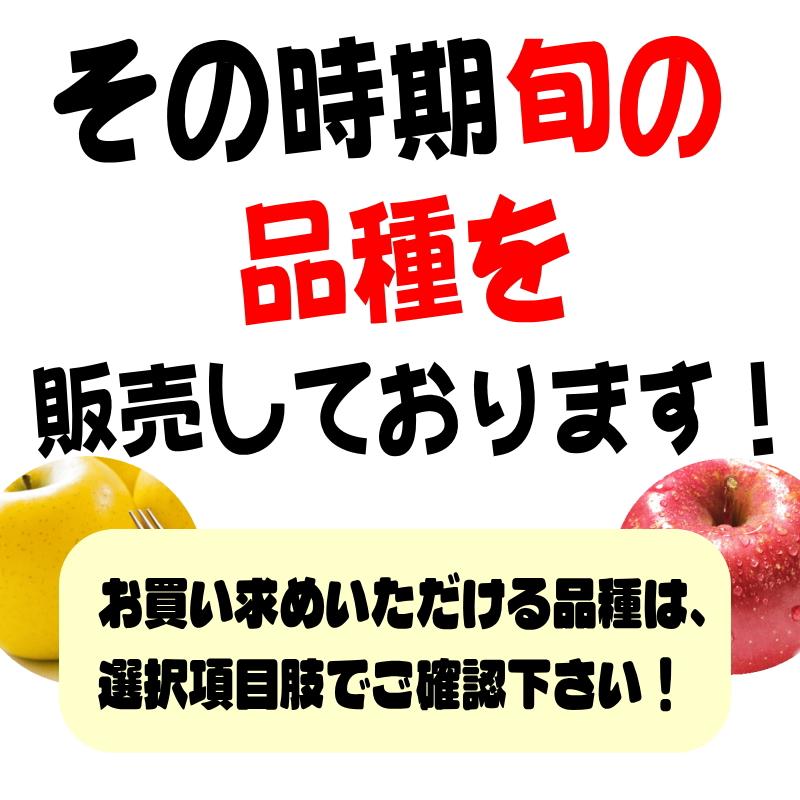 即日発送 青森 りんご 10kg箱 訳あり/加工用 選べる品種 送料無料