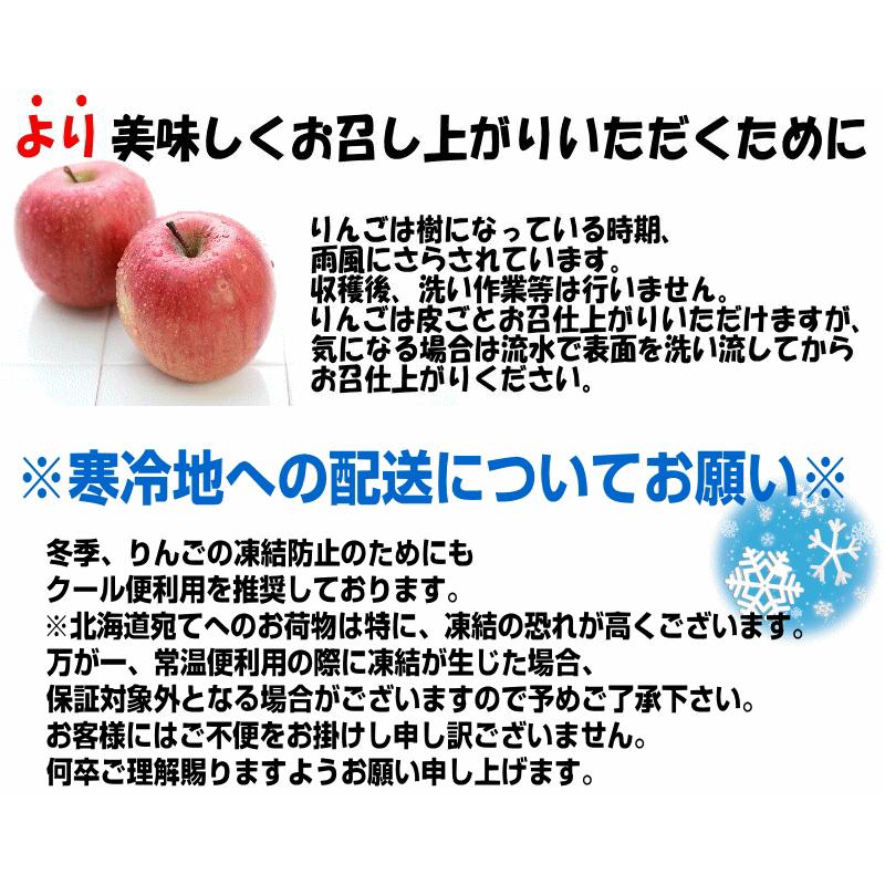 クーポンで4980円！青森 りんご 10kg箱 金星 有袋 樹上完熟栽培 家庭用/訳あり クール便 送料無料 リンゴ 10キロ箱★有袋金星 家訳 10kg箱｜world-wand｜14