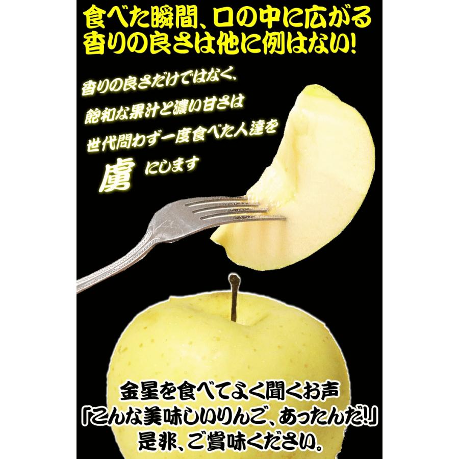 クーポンで4980円！青森 りんご 10kg箱 金星 有袋 樹上完熟栽培 家庭用/訳あり クール便 送料無料 リンゴ 10キロ箱★有袋金星 家訳 10kg箱｜world-wand｜08