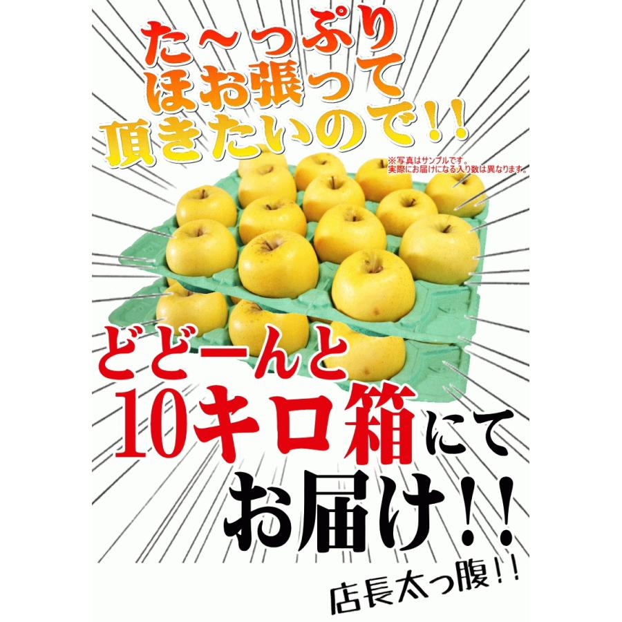 クーポンで4980円！青森 りんご 10kg箱 金星 有袋 樹上完熟栽培 家庭用/訳あり クール便 送料無料 リンゴ 10キロ箱★有袋金星 家訳 10kg箱｜world-wand｜10