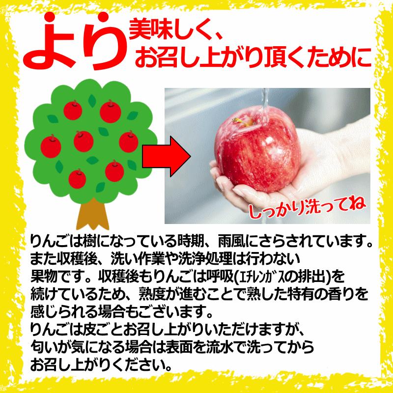 クーポン3%引き！青森 りんご 3kg箱 金星 有袋 家庭用/訳あり クール便