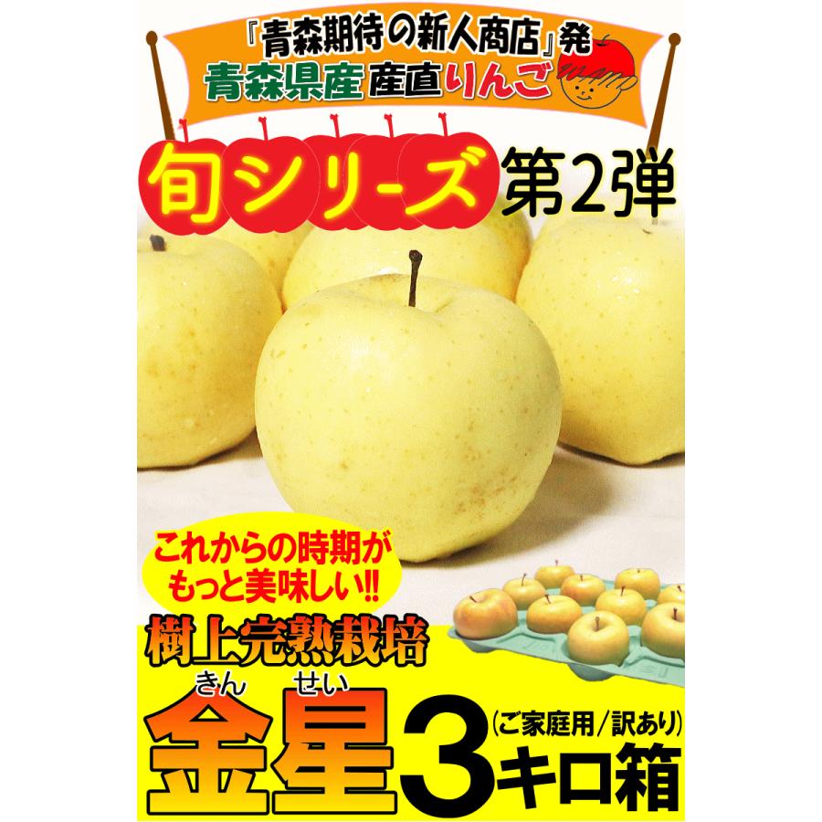 クーポン3%引き！青森 りんご 3kg箱 金星 有袋 家庭用/訳あり クール便
