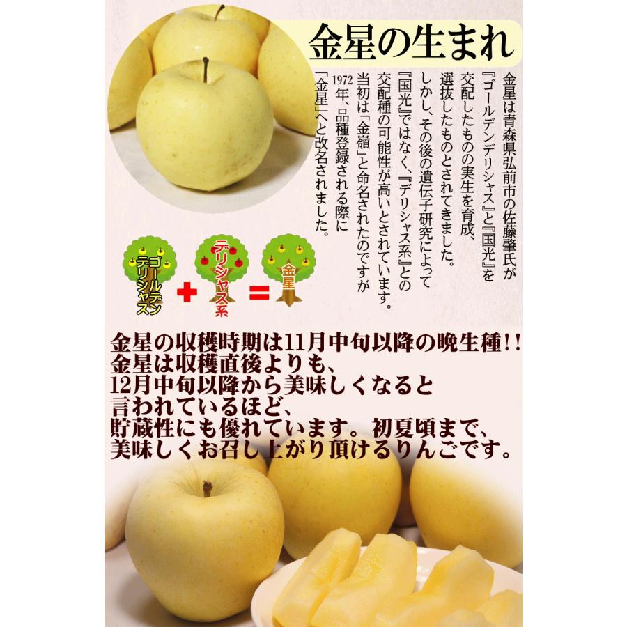 クーポン3%引き！青森 りんご 3kg箱 金星 有袋 家庭用/訳あり クール便