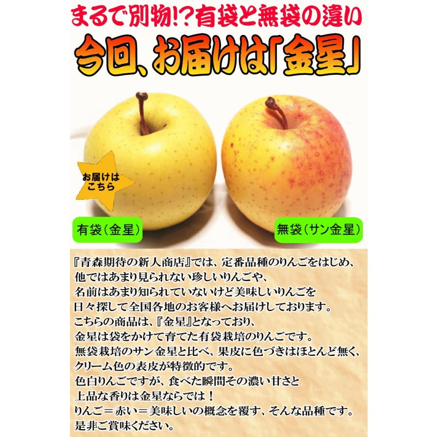 クーポン3%引き！青森 りんご 3kg箱 金星 有袋 家庭用/訳あり クール便