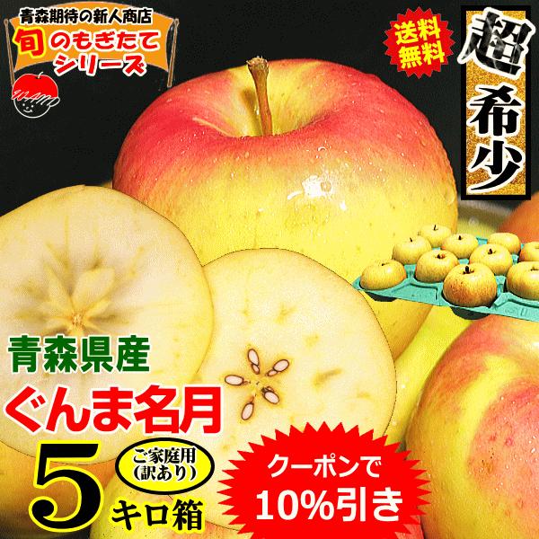 最大80％オフ！ 期間限定 青森県産 インド 激レア りんご 6~8玉 ⑧