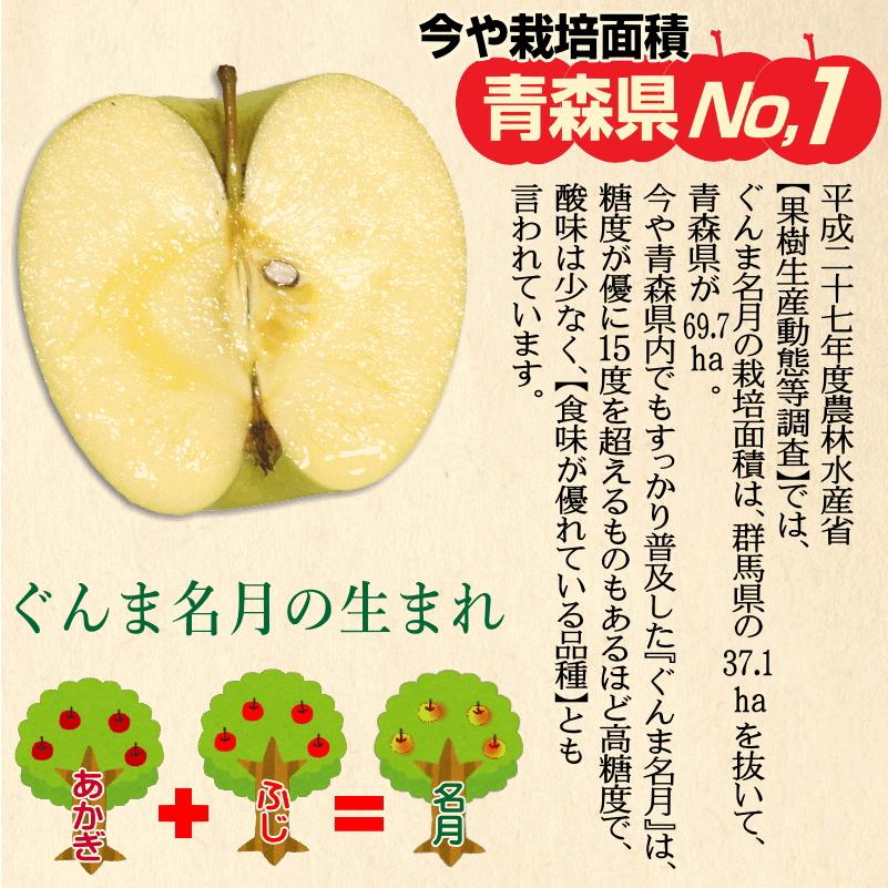 即日発送 青森 りんご 5kg箱 家庭用/訳あり ぐんま名月 送料無料