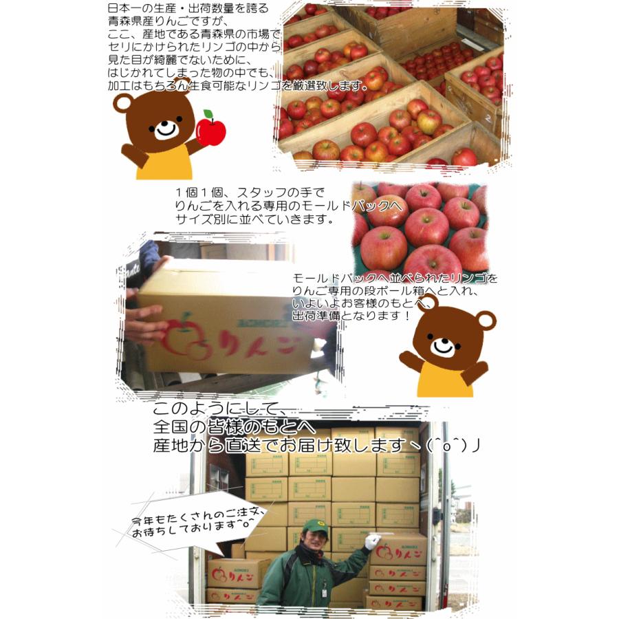 即日発送 青森 りんご 5kg箱 家庭用/訳あり ぐんま名月 送料無料 青森 リンゴ 5キロ 名月★名月 家訳 5kg箱 |  | 16